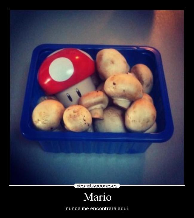 Mario - nunca me encontrará aquí.