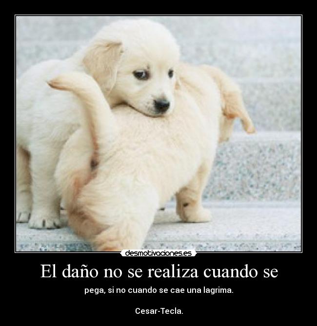 El daño no se realiza cuando se - pega, si no cuando se cae una lagrima.

Cesar-Tecla.