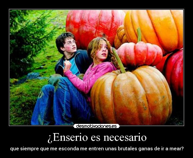 ¿Enserio es necesario -