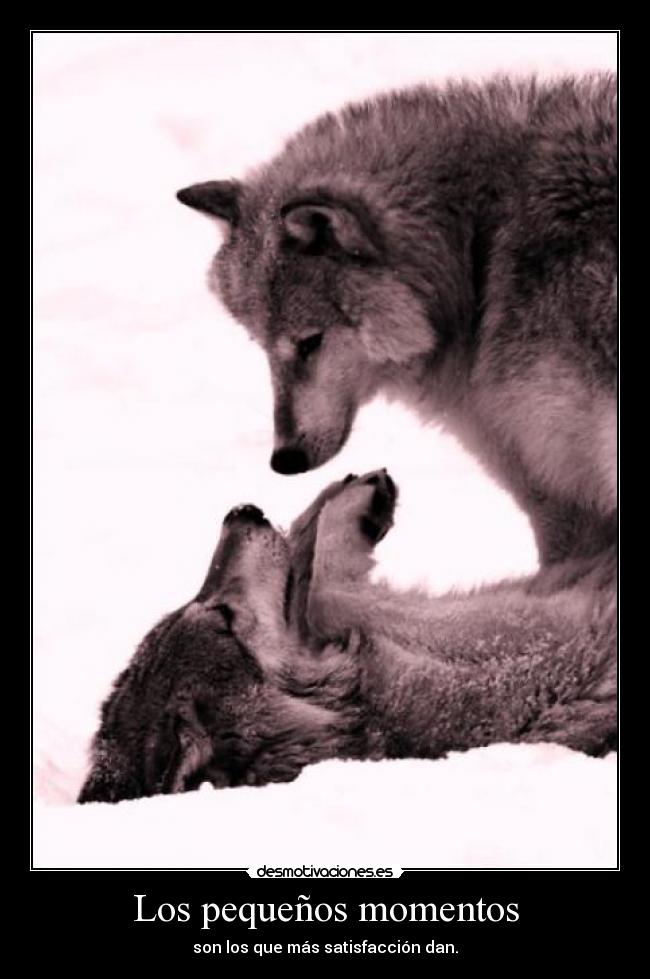 Los pequeños momentos -