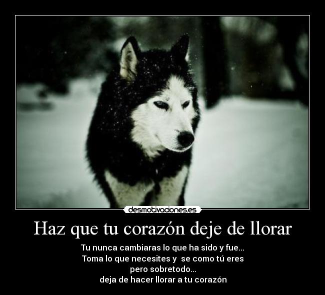 Haz que tu corazón deje de llorar - Tu nunca cambiaras lo que ha sido y fue...
Toma lo que necesites y se como tú eres
pero sobretodo...
deja de hacer llorar a tu corazón