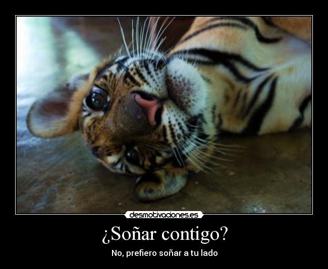 ¿Soñar contigo? - No, prefiero soñar a tu lado