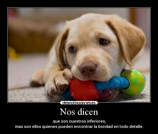 Nos dicen - 