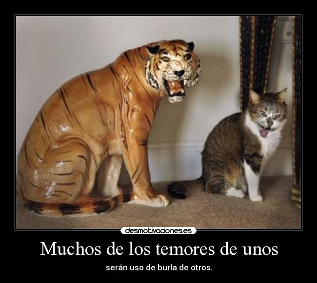 Muchos de los temores de unos - serán uso de burla de otros.