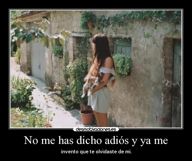 No me has dicho adiós y ya me - 
