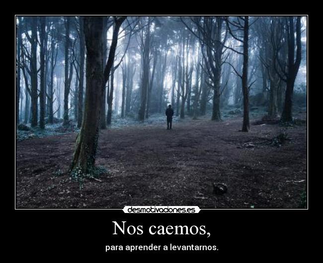 Nos caemos, - para aprender a levantarnos.