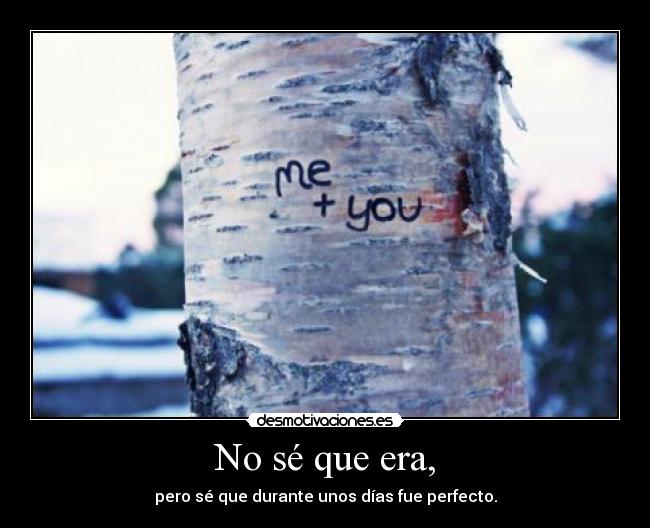 No sé que era, - pero sé que durante unos días fue perfecto.