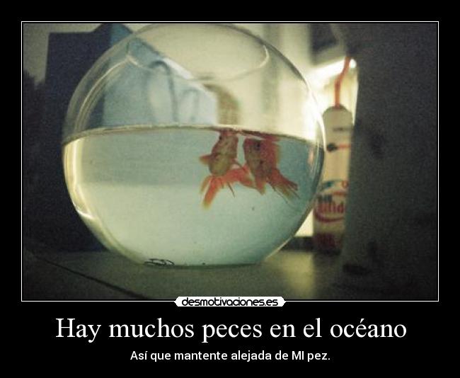Hay muchos peces en el océano - 