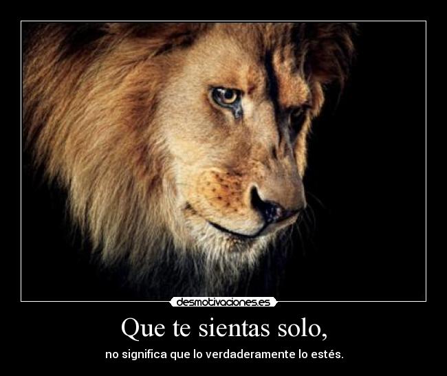Que te sientas solo, -