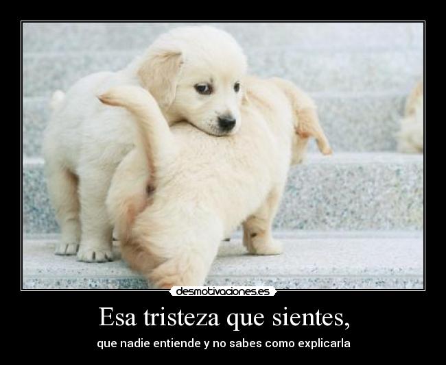Esa tristeza que sientes, - que nadie entiende y no sabes como explicarla