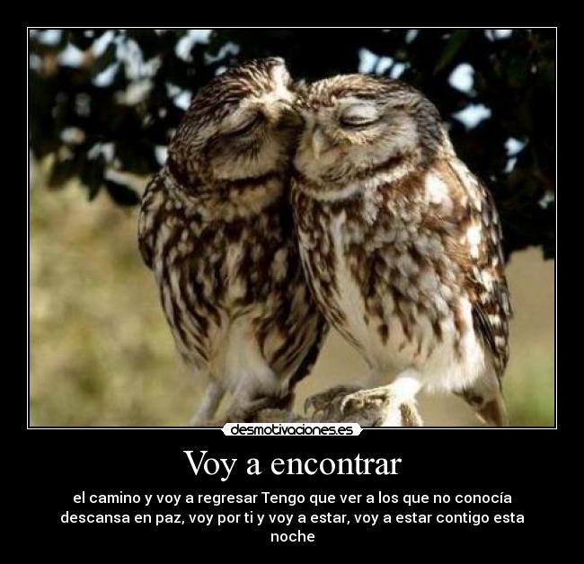 Voy a encontrar - el camino y voy a regresar Tengo que ver a los que no conocía
descansa en paz, voy por ti y voy a estar, voy a estar contigo esta
noche