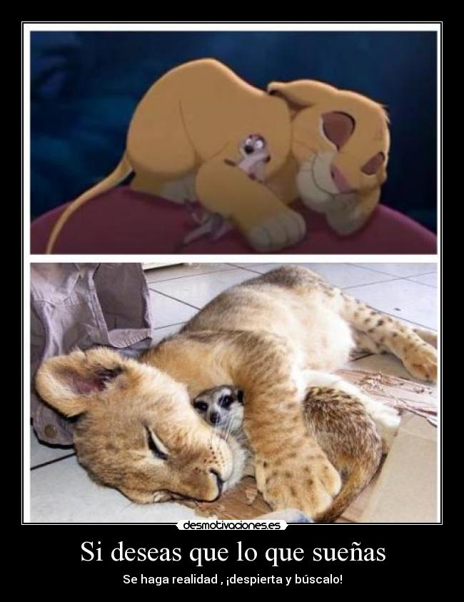 carteles guti19 sigue tus suenos muerte latidos corazon destruido del justiciero desmotivaciones