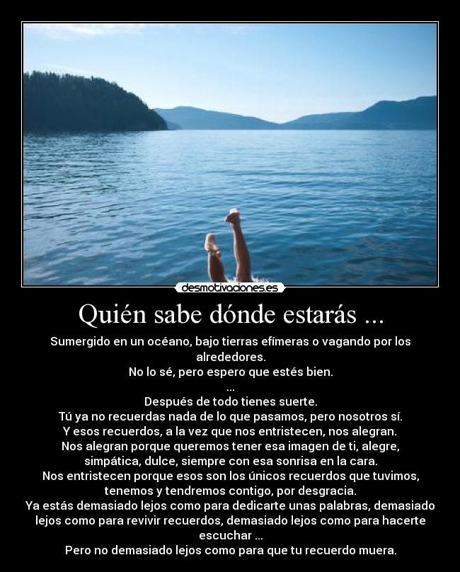 Quién sabe dónde estarás ... - Sumergido en un océano, bajo tierras efímeras o vagando por los
alrededores.
No lo sé, pero espero que estés bien.
...
Después de todo tienes suerte.
Tú ya no recuerdas nada de lo que pasamos, pero nosotros sí.
Y esos recuerdos, a la vez que nos entristecen, nos alegran.
Nos alegran porque queremos tener esa imagen de ti, alegre,
simpática, dulce, siempre con esa sonrisa en la cara.
Nos entristecen porque esos son los únicos recuerdos que tuvimos,
tenemos y tendremos contigo, por desgracia.
Ya estás demasiado lejos como para dedicarte unas palabras, demasiado
lejos como para revivir recuerdos, demasiado lejos como para hacerte
escuchar ...
Pero no demasiado lejos como para que tu recuerdo muera.