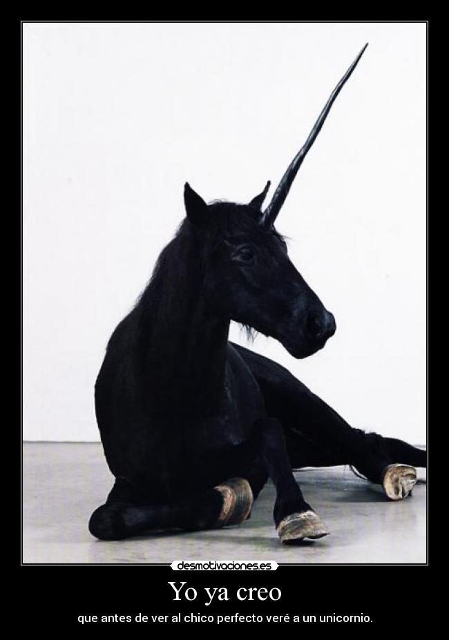 Yo ya creo - que antes de ver al chico perfecto veré a un unicornio.