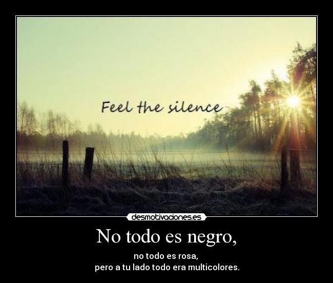 No todo es negro, - no todo es rosa,
pero a tu lado todo era multicolores.