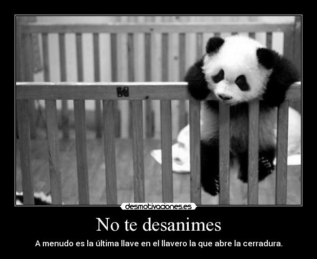 No te desanimes - A menudo es la última llave en el llavero la que abre la cerradura.