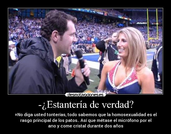 -¿Estantería de verdad? - +No diga usted tonterías, todo sabemos que la homosexualidad es el
rasgo principal de los patos.. Así que métase el micrófono por el
ano y come cristal durante dos años