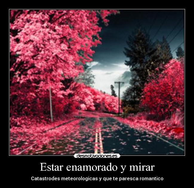 Estar enamorado y mirar - 