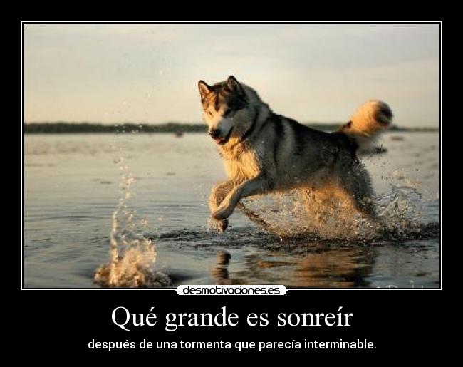 carteles ser feliz tifani9 desmotivaciones