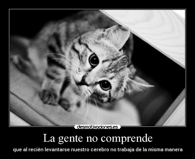 La gente no comprende - 
