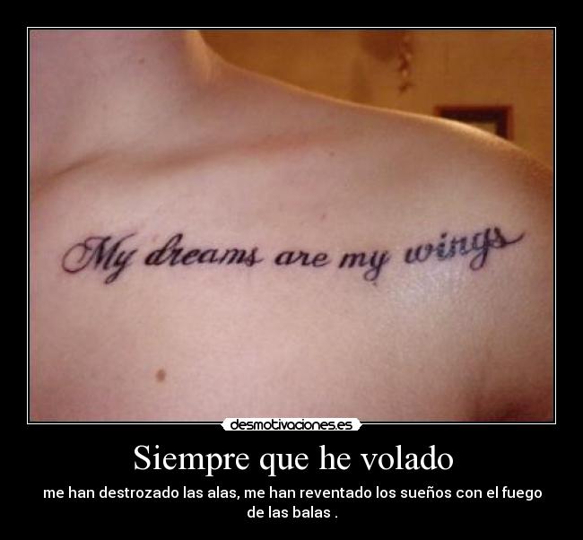 Siempre que he volado -