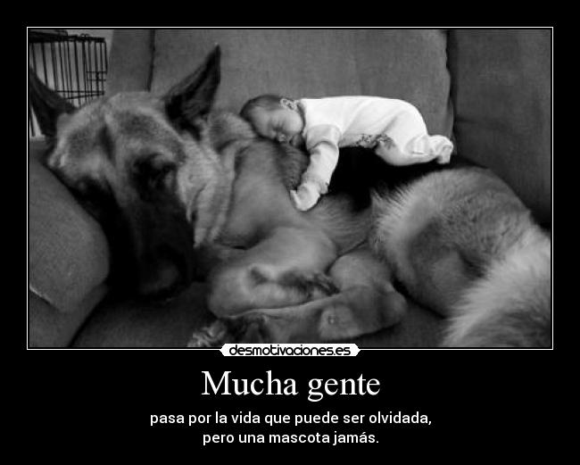 Mucha gente -