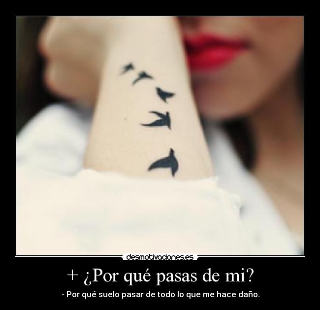 + ¿Por qué pasas de mi? - 