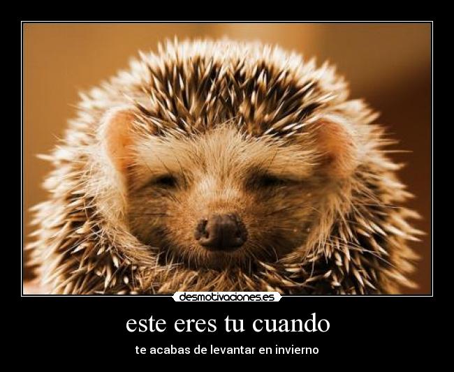 este eres tu cuando - 