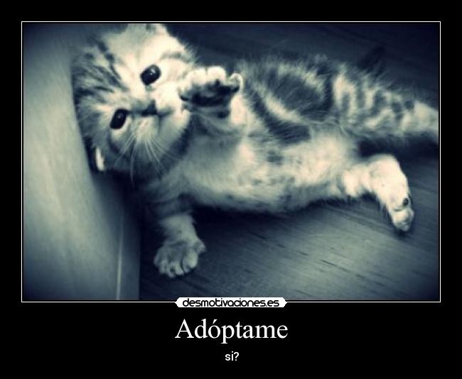Adóptame - si?