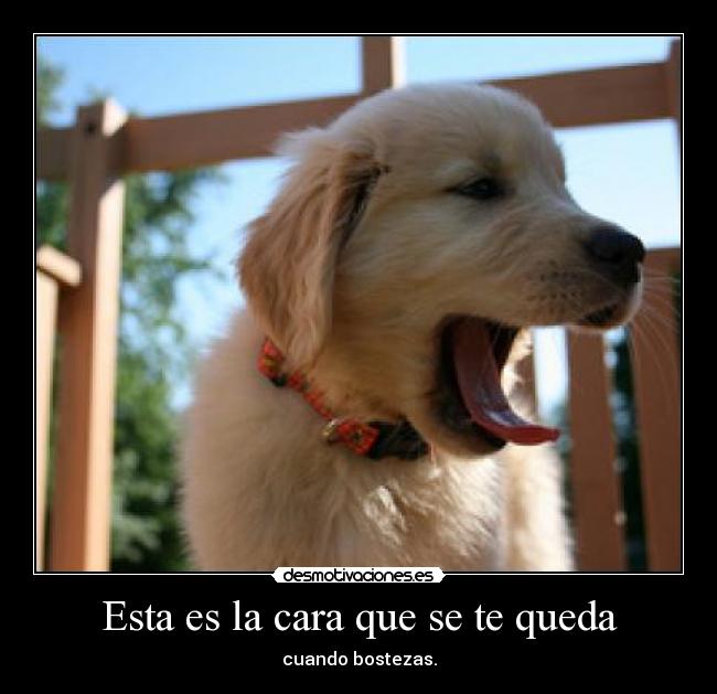 Esta es la cara que se te queda - cuando bostezas.