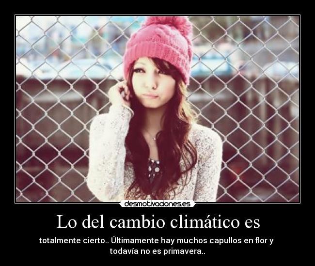 carteles makasister capullos capullos everi guer desmotivaciones