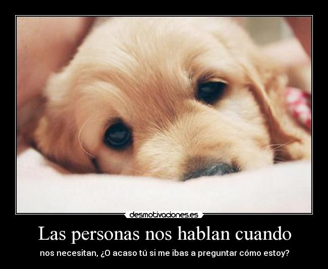 carteles sin importancia personas hipocritas necesidad hablar preguntar estado animo triste desmotivaciones