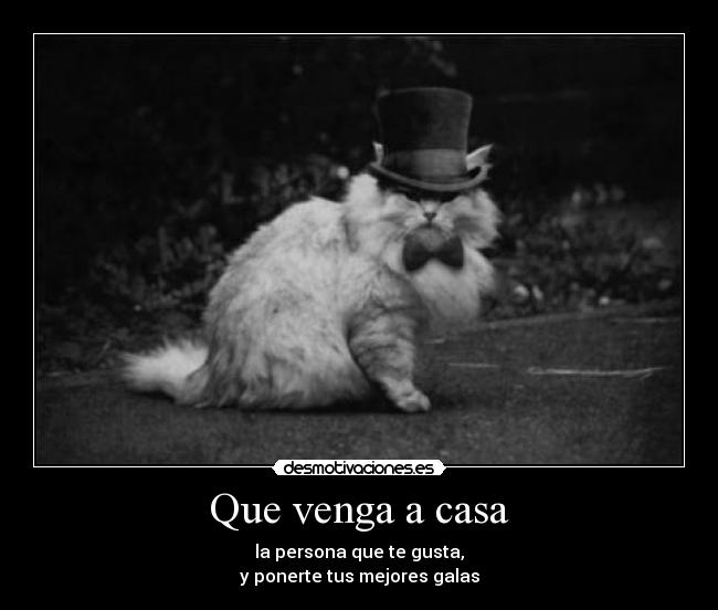 Que venga a casa - la persona que te gusta,
y ponerte tus mejores galas