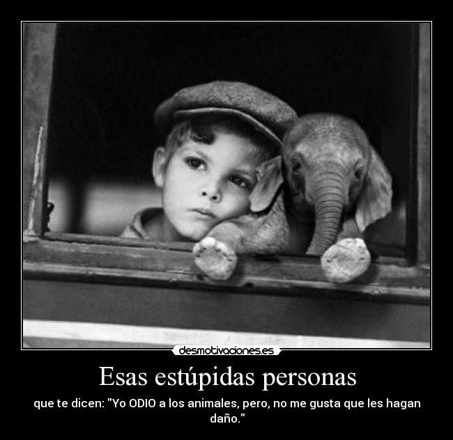 Esas estúpidas personas - que te dicen: Yo ODIO a los animales, pero, no me gusta que les hagan daño.