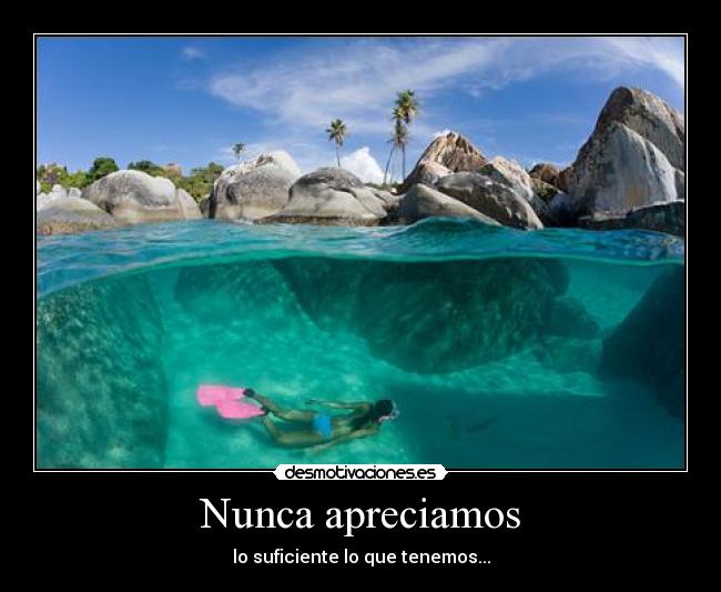 Nunca apreciamos - lo suficiente lo que tenemos...