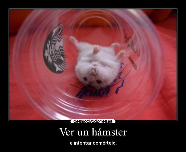 carteles violarlos clanvahipene desmotivaciones