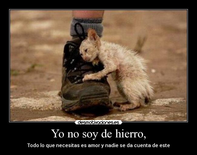 Yo no soy de hierro, - Todo lo que necesitas es amor y nadie se da cuenta de este