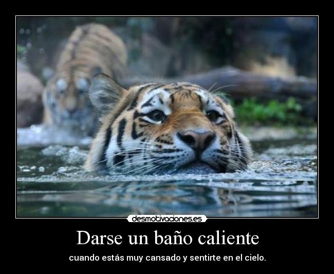 Darse un baño caliente - 