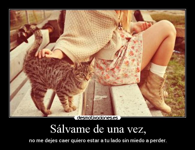 carteles palomitademaiz moco verde andante con bolsa americana cabeza desmotivaciones