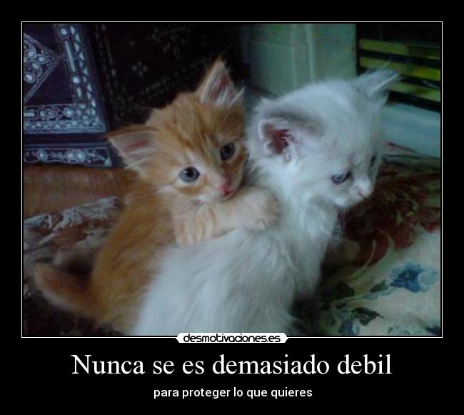 Nunca se es demasiado debil - 