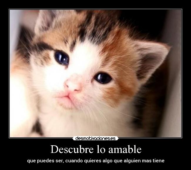 Descubre lo amable - 