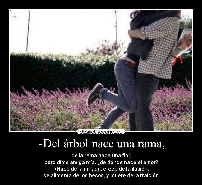 -Del árbol nace una rama, - de la rama nace una flor,
pero dime amiga mía, ¿de dónde nace el amor?
+Nace de la mirada, crece de la ilusión,
se alimenta de los besos, y muere de la traición.