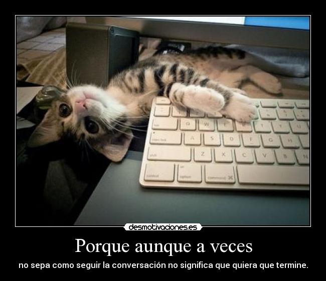 Porque aunque a veces - no sepa como seguir la conversación no significa que quiera que termine.