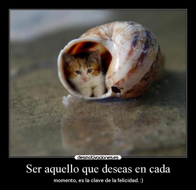 Ser aquello que deseas en cada - momento, es la clave de la felicidad. :)