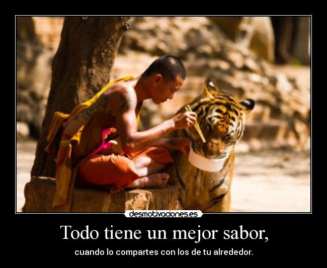 carteles compartir tigre monje shaolin gemelo23 desmotivaciones