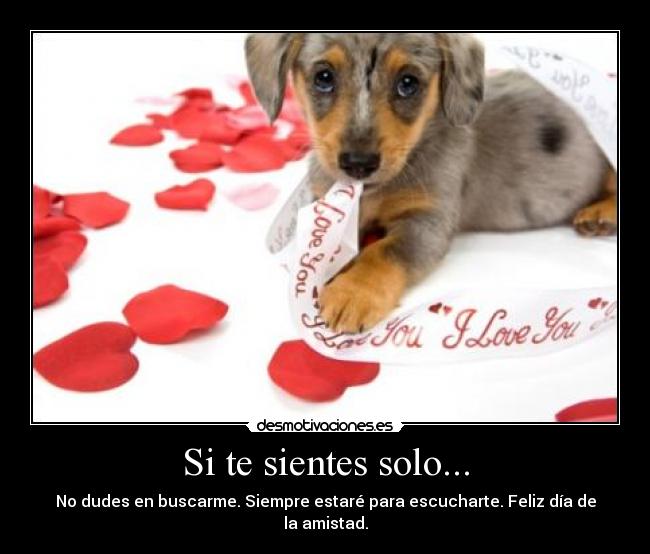 carteles soledad perrito diadelaamistad desmotivaciones