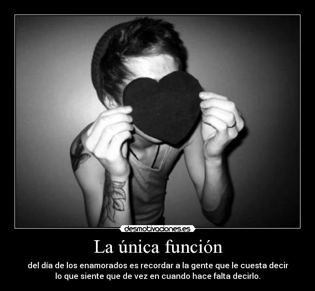 La única función - 