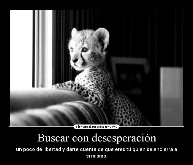 Buscar con desesperación - 