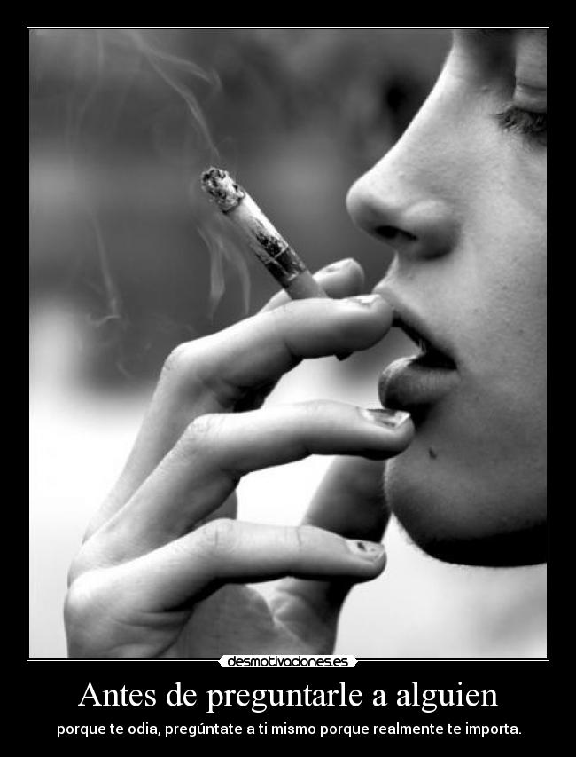 carteles why you care desmotivaciones