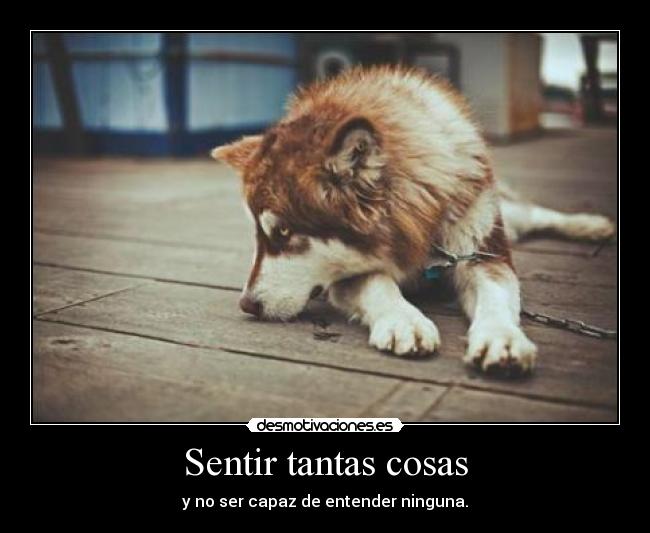 Sentir tantas cosas - 